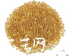 中药大全