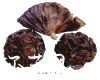 微信小程序开发公司