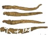 别名