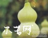 中药大全