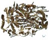 蔊菜别名