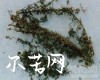 中药大全