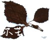 微信小程序开发公司