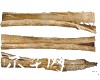 微信小程序开发公司