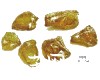 微信小程序开发公司