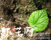 微信小程序开发公司