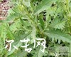 微信小程序开发公司