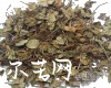 微信小程序开发公司