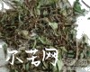 微信小程序开发公司