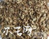 微信小程序开发公司