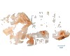 微信小程序开发公司
