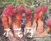 微信小程序开发公司