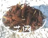 微信小程序开发公司