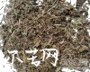 微信小程序开发公司