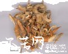 微信小程序开发公司