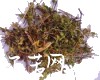 微信小程序开发公司