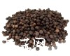 微信小程序开发公司