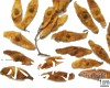 微信小程序开发公司