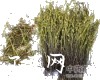 微信小程序开发公司