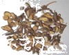 微信小程序开发公司
