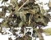 微信小程序开发公司