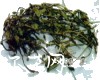 微信小程序开发公司