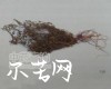 微信小程序开发公司