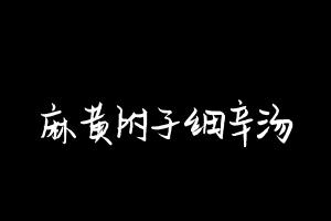 中药方剂大全