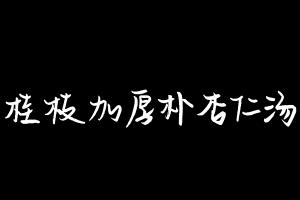 中药方剂大全