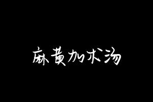 中药方剂大全