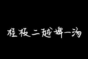 中药方剂大全