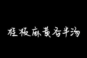 中药方剂大全