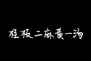 中药方剂大全