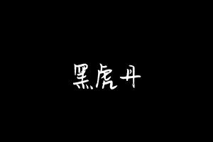 中药方剂大全