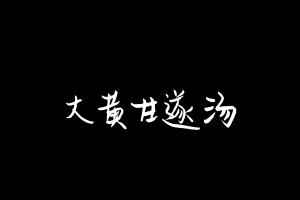 中药方剂大全