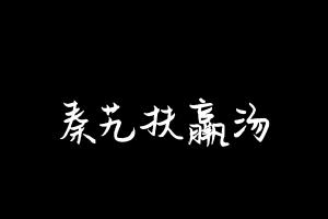 中药方剂大全
