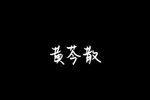 中药方剂大全