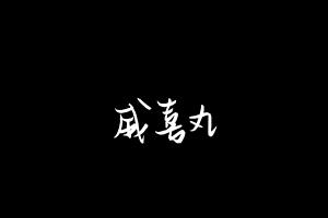 中药方剂大全