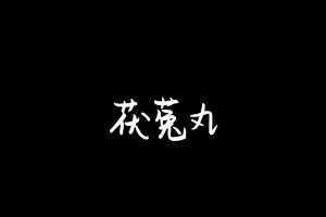 中药方剂大全