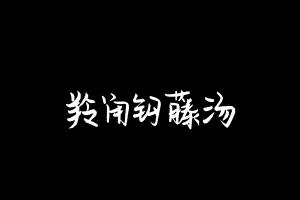 中药方剂大全