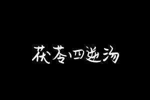 中药方剂大全