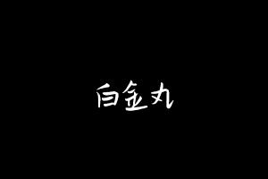 中药方剂大全