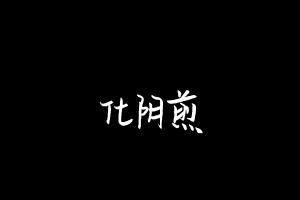 中药方剂大全