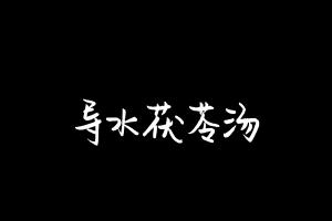 中药方剂大全