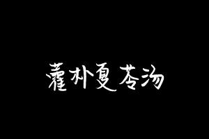 中药方剂大全