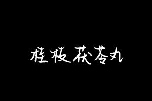 中药方剂大全