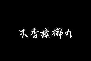 中药方剂大全
