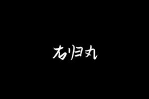 中药方剂大全