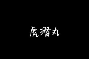 中药方剂大全