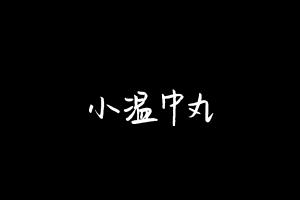 中药方剂大全